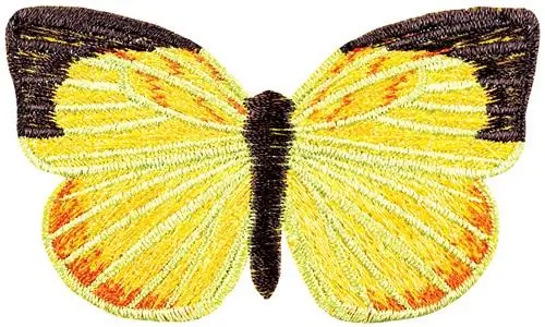 Express Delivery Terias Jaegeri small Embroidery Design