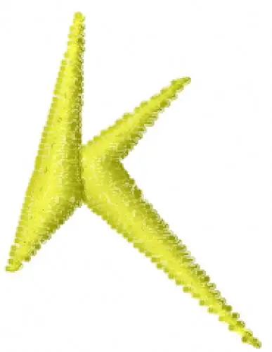 Lightning Bolt Font k Embroidery Design Order Now