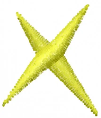 Lightning Bolt Font X Embroidery Design Brand New