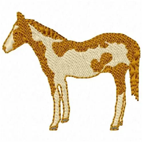 Spotted Horse Embroidery Design Special Offer