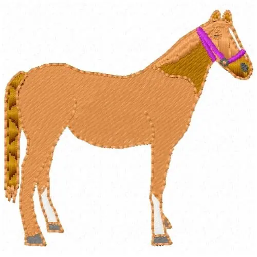 Premium Bridled Horse Embroidery Design