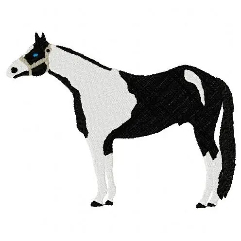 Tobiano Horse Embroidery Design Price Drop