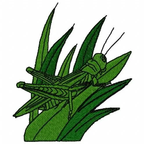 Worldwide Shipping Grasshopper Embroidery Design