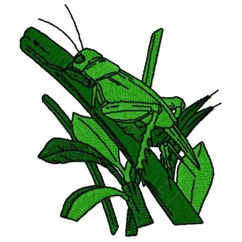 Free Shipping Cricket Embroidery Design