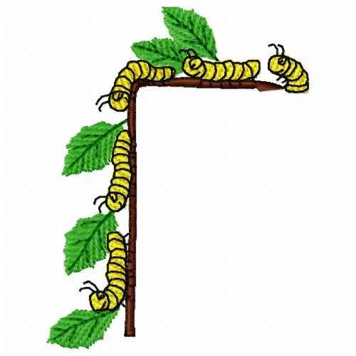 Caterpillar Frame Embroidery Design Premium