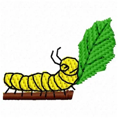 Right Catepillar Embroidery Design Super Sale