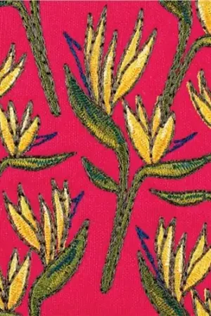 Today Only Bird Of Paradise Embroidery Design