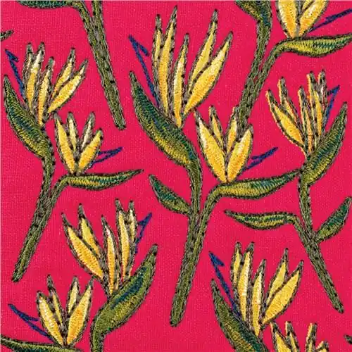 Today Only Bird Of Paradise Embroidery Design