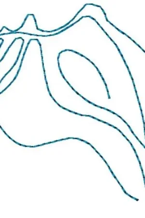 Genuine Outline Shell Embroidery Design