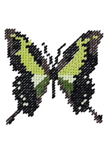 Needlepoint Butterfly Embroidery Design Genuine