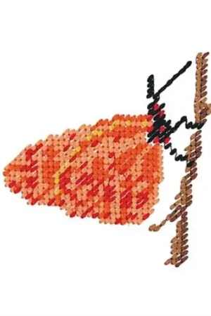 Needlepoint Butterfly Embroidery Design Get Yours
