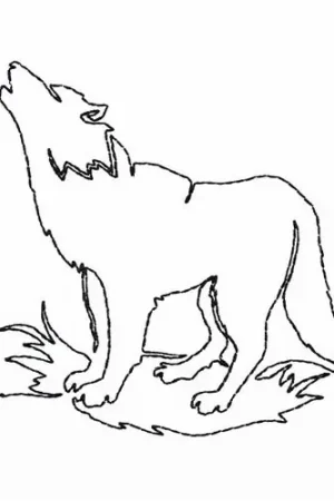 Continuous Line Wolf Embroidery Design Warranty Included
