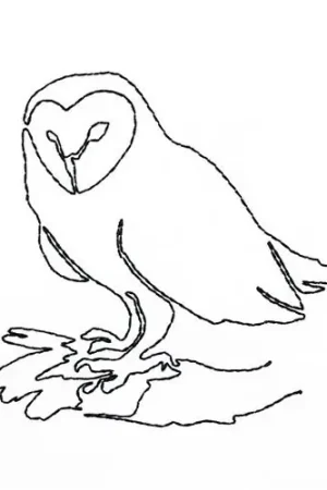 Brand New Continuous Line Owl Embroidery Design
