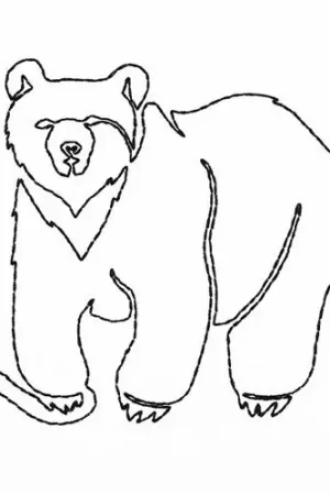 Get Yours Continuous Line Bear Embroidery Design