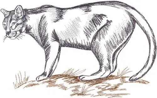 Save Now Mountain Lion Embroidery Design