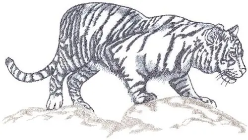 Viral Tiger  Embroidery Design