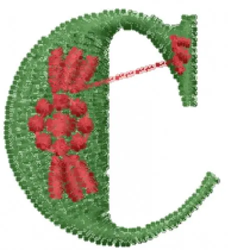 Buy Online Decorative Font C Embroidery Design