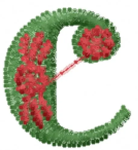 Decorative Font c Embroidery Design Modern