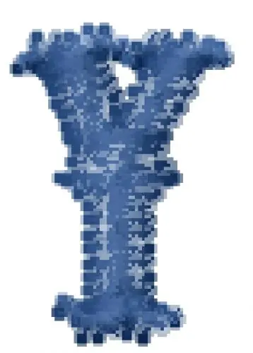 Carnival Font Y Embroidery Design Don’t Miss Out