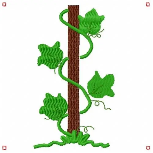 Ivy Vine Embroidery Design Genuine