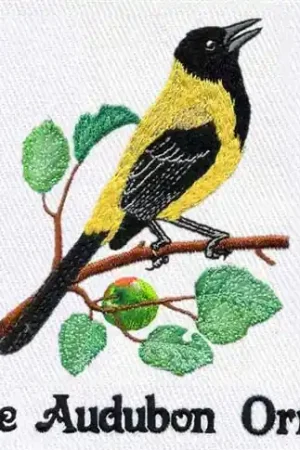 Audubons Oriole Embroidery Design Price Drop