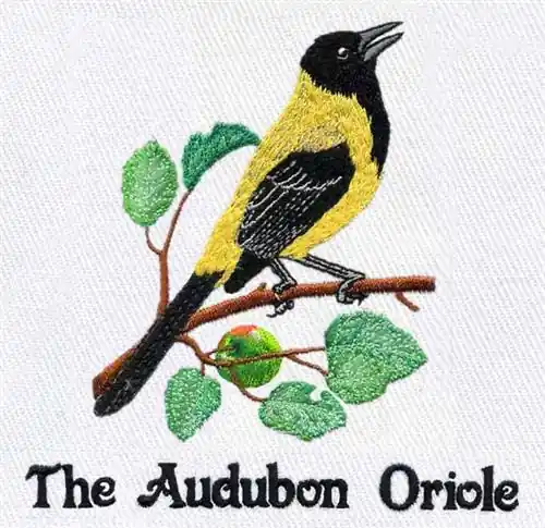 Audubons Oriole Embroidery Design Price Drop