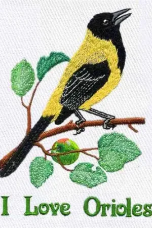 Audubons Oriole Embroidery Design Popular