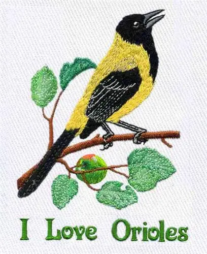 Audubons Oriole Embroidery Design Popular