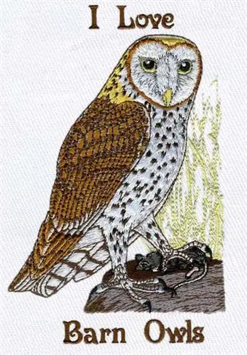 Top Rated Barn Owl Embroidery Design