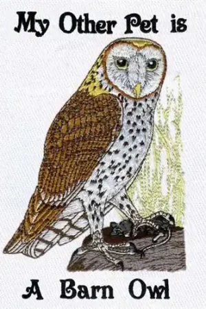 Affordable Barn Owl Embroidery Design