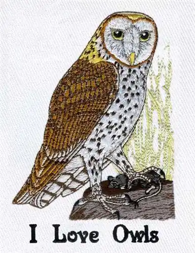 Next Day Delivery I Love Owls Embroidery Design