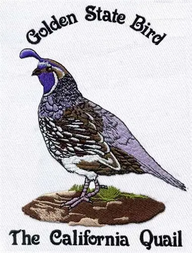California Quail Embroidery Design One Day Deal