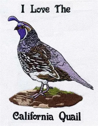 Trending California Quail Embroidery Design