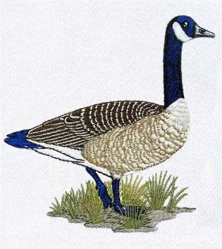 Canadian Goose Embroidery Design Save Now