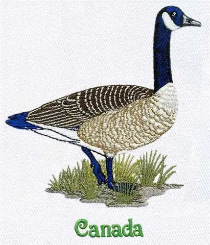 Hassle-Free Returns Canadian Goose Embroidery Design