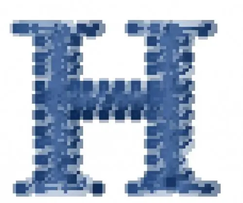 Wholesale Ring Bearer Font H Embroidery Design