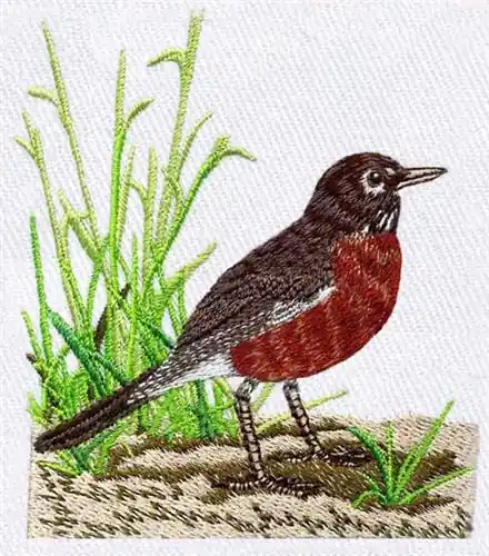Limited Offer American Robin Embroidery Design