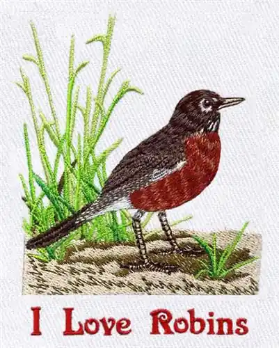 Mega Sale American Robin Embroidery Design