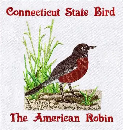 Reduced Price American Robin Embroidery Design