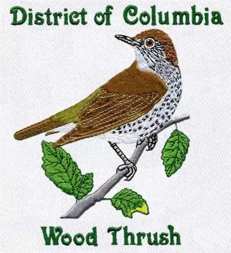 Authentic Wood Thrush Embroidery Design