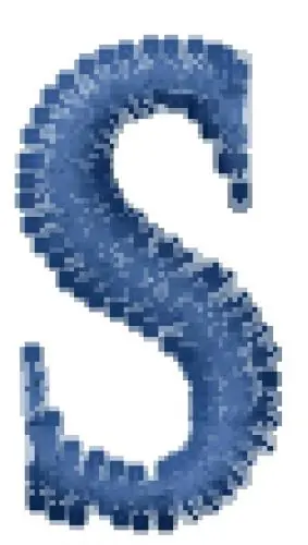 Exclusive Ring Bearer Font S Embroidery Design