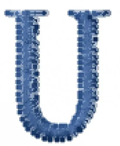 Ring Bearer Font U Embroidery Design No Minimum Order