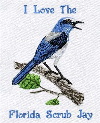 Factory Price Florida Scrub Jay Embroidery Design