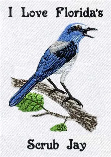 Worldwide Shipping Florida Scrub Jay Embroidery Design