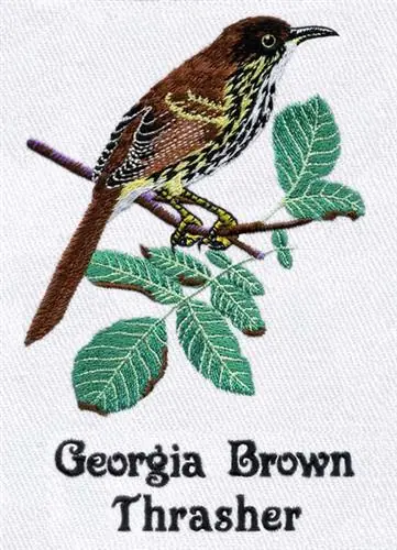 Hot Deal Georgia Brown Thrasher Embroidery Design