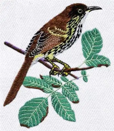 Georgia Brown Thrasher Embroidery Design Fan Favorite