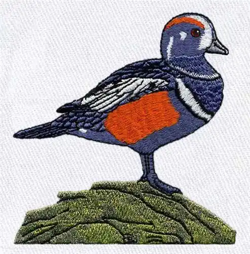 Harlequin Duck Embroidery Design Cheap
