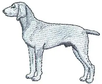 Weimaraner Embroidery Design Fresh Stock