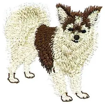 Editor’s Pick Papillon Embroidery Design