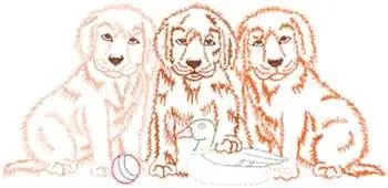 Buy Online Three Puppies With Toys Embroidery Design